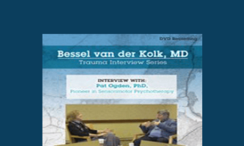 Bessel van der Kolk