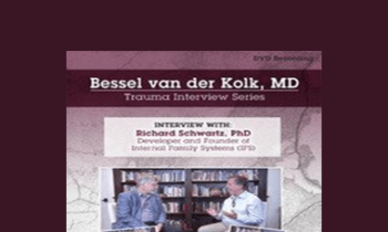 Bessel van der Kolk