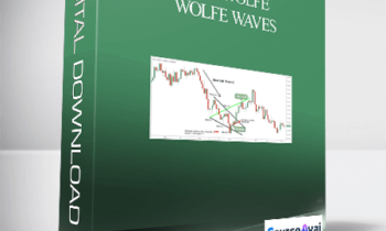 Bill Wolfe – Wolfe Waves