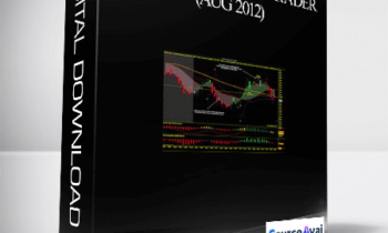 Boomerang Day Trader (Aug 2012)