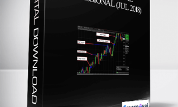 BuySide Global Professional (Jul 2018)