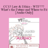 [Audio] CC15 Law & Ethics - WTF??? What’s the Future and Where to Fit - Steven Frankel