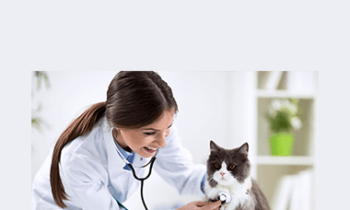 CPD - Cardiology Mini Bundle