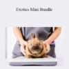 CPD - Exotics Mini Bundle