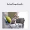 CPD - Feline Mega Bundle