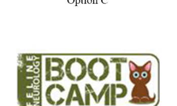 CPD - Feline Neurology Boot Camp – Option C