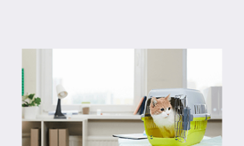 CPD - GP Refresh Mega Bundle