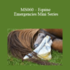 CPD - MS060 – Equine Emergencies Mini Series