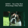 CPD - MS063 – Six of the Best (Neurology) Mini Series