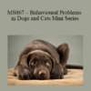 CPD - MS067 – Behavioural Problems in Dogs and Cats Mini Series