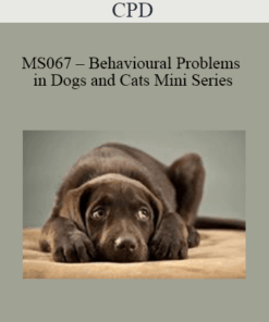 CPD - MS067 – Behavioural Problems in Dogs and Cats Mini Series