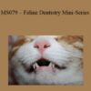 CPD - MS079 – Feline Dentistry Mini-Series