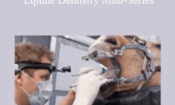 CPD - MS080 – Improving Your Equine Dentistry Mini-Series
