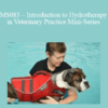 CPD - MS083 – Introduction to Hydrotherapy in Veterinary Practice Mini-Series