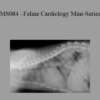 CPD - MS084 – Feline Cardiology Mini-Series