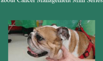 CPD - MS086 – Everything You Need to Know about Cancer Management Mini Series