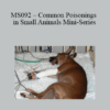 CPD - MS092 – Common Poisonings in Small Animals Mini-Series