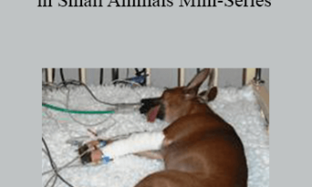 CPD - MS092 – Common Poisonings in Small Animals Mini-Series