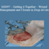 CPD - MS097 – Getting it Together – Wound Management and Closure in Dogs and Cats