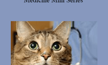 CPD - MS102 – Hot Topics in Feline Medicine Mini Series