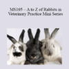 CPD - MS105 – A to Z of Rabbits in Veterinary Practice Mini Series