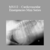 CPD - MS112 – Cardiovascular Emergencies Mini Series