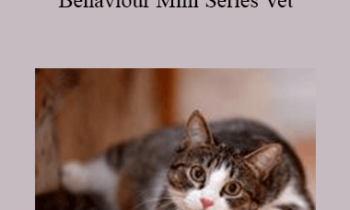 CPD - MS115 – Feline Behaviour Mini Series Vet