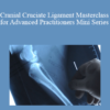 CPD - MS119 – Cranial Cruciate Ligament Masterclass for Advanced Practitioners Mini Series