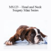 CPD - MS123 – Head and Neck Surgery Mini Series