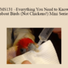 CPD - MS131 – Everything You Need to Know about Birds (Not Chickens!) Mini Series