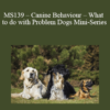 CPD - MS139 – Canine Behaviour – What to do with Problem Dogs Mini-Series