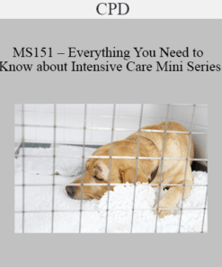 CPD - MS151 – Everything You Need to Know about Intensive Care Mini Series