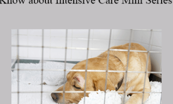 CPD - MS151 – Everything You Need to Know about Intensive Care Mini Series