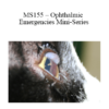 CPD - MS155 – Ophthalmic Emergencies Mini-Series