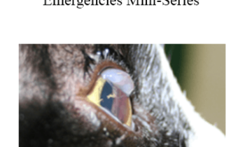 CPD - MS155 – Ophthalmic Emergencies Mini-Series
