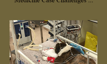 CPD - MS162 – Small Animal Emergency Medicine Case Challenges for Advanced Practitioners Mini Series