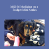 CPD - MS166 Medicine on a Budget Mini Series