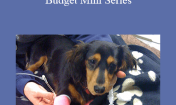 CPD - MS166 Medicine on a Budget Mini Series