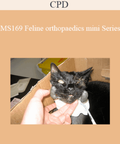 CPD - MS169 Feline Orthopaedics Mini Series