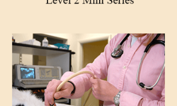 CPD - MS170 Abdominal Ultrasound Level 2 Mini Series