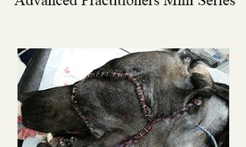 CPD - MS176 Maxillofacial Surgery for Advanced Practitioners Mini Series