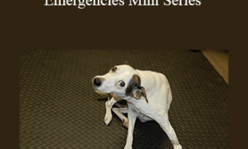 CPD - MS181 Neurological Emergencies Mini Series