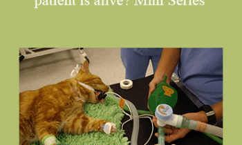 CPD - MS183 How do I know that my patient is alive? Mini Series