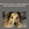 CPD - MS190 Hot Topics in Canine Medicine Mini Series (November 2018)