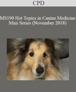 CPD - MS190 Hot Topics in Canine Medicine Mini Series (November 2018)