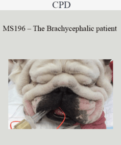 CPD - MS196 – The Brachycephalic patient