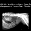 CPD - MS198 – Nutrition – A Corner Stone for Management of Urinary Tract Disorders