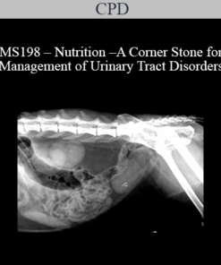 CPD - MS198 – Nutrition – A Corner Stone for Management of Urinary Tract Disorders