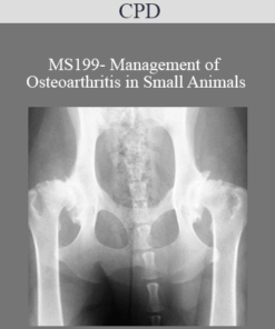 CPD - MS199- Management of Osteoarthritis in Small Animals
