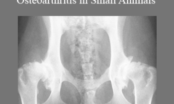CPD - MS199- Management of Osteoarthritis in Small Animals